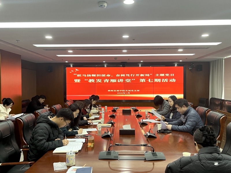 教师发展学院直属党支部开展主题...